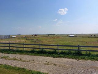 Photo 7: 271126 Range Road 43: Cochrane Agriculture for sale : MLS®# A2108345