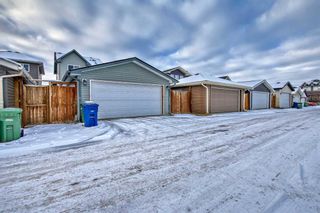 Photo 25: 74 Ravenswynd Rise SE: Airdrie Detached for sale : MLS®# A2098716