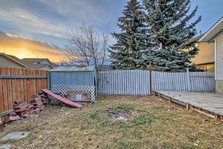Photo 36: 75 Martinwood Way NE in Calgary: Martindale Detached for sale : MLS®# A2098015
