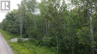 Photo 18: 335 4th Line in Gordon: Vacant Land for sale : MLS®# 2112596