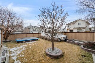 Photo 25: 133 Cranfield Park SE in Calgary: Cranston Detached for sale : MLS®# A2119113