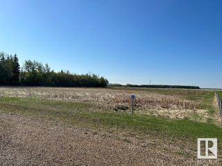 Photo 1: RR 281 HWY 39: Rural Leduc County Vacant Lot/Land for sale : MLS®# E4340136