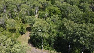 Photo 10: 11045 28.5E Road in Roseau River: Vacant Land for sale : MLS®# 202320739