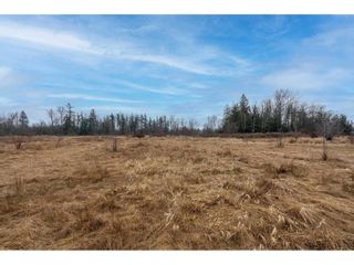 Photo 6: 3250 264 STREET in Langley: Vacant Land for sale : MLS®# C8053916