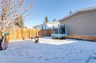 Photo 34: 52 Spring Haven Road SE: Airdrie Detached for sale : MLS®# A2093923