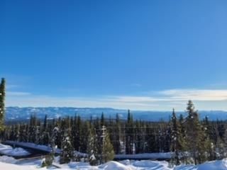 Photo 6: 3 Monashee Way, in Big White: Vacant Land for sale : MLS®# 10266470