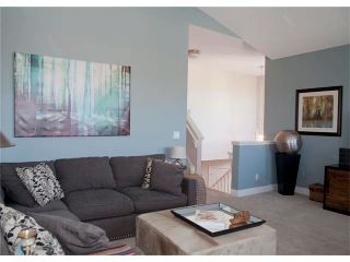 Photo 22: 67 CHAPMAN Way SE in Calgary: Chaparral House for sale : MLS®# C4065212