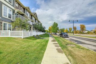 Photo 43: 603 Auburn Bay Boulevard SE in Calgary: Auburn Bay Row/Townhouse for sale : MLS®# A2003857