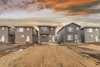 Photo 35: 342 Chelsea Hollow: Chestermere Detached for sale : MLS®# A2121270