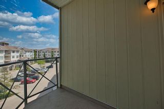 Photo 25: 403 10 Auburn Bay Link SE in Calgary: Auburn Bay Apartment for sale : MLS®# A2054806