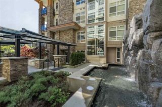 Photo 17: 307 2495 WILSON Avenue in Port Coquitlam: Central Pt Coquitlam Condo for sale in "ORCHID" : MLS®# R2391943
