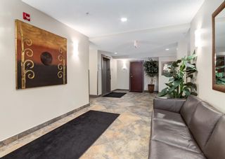 Photo 21: 413 1321 Kensington Close NW in Calgary: Hillhurst Apartment for sale : MLS®# A1256599