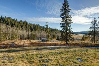Photo 35: 288140 Parkins Road W: Rural Foothills County Detached for sale : MLS®# A2095526