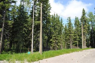 Photo 7: Lot #3 32529 Range Road #52: Rural Mountain View County Residential Land for sale : MLS®# A1255594