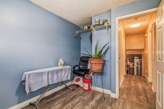 Photo 13: 909 Erin Woods Drive SE in Calgary: Erin Woods Detached for sale : MLS®# A2104195
