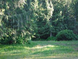 Photo 9: 523 TONQUIN Road in Bella Coola: Bella Coola/Hagensborg Land for sale (Williams Lake)  : MLS®# R2709897