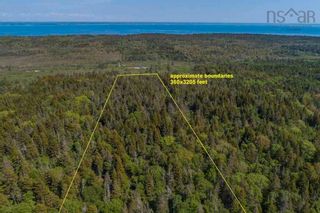 Photo 9: Lot 2 Highway 317 in Central Grove: Digby County Vacant Land for sale (Annapolis Valley)  : MLS®# 202304340