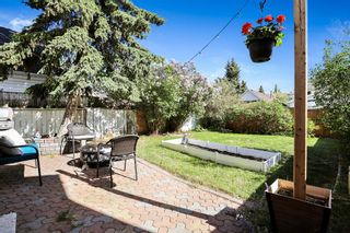 Photo 34: 79 Queen Anne Close SE in Calgary: Queensland Detached for sale : MLS®# A2049755