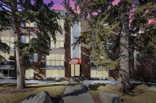 Photo 1: 105 110 24 Avenue SW in Calgary: Mission Apartment for sale : MLS®# A2119201