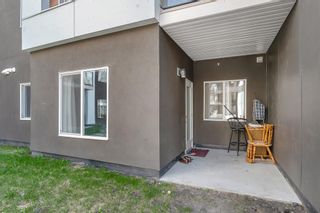 Photo 22: 3116 4641 128 Avenue NE in Calgary: Skyview Ranch Apartment for sale : MLS®# A2046179