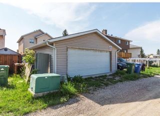 Photo 16: 120 martinview Close NE in Calgary: Martindale Detached for sale : MLS®# A1182809
