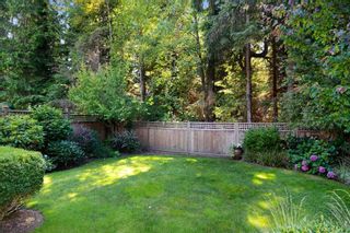 Photo 19: 4043 SHONE Road in North Vancouver: Indian River House for sale : MLS®# R2098146