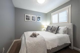 Photo 20: 23 Panatella Lane NW in Calgary: Panorama Hills Detached for sale : MLS®# A1207855