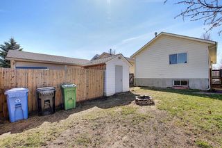 Photo 48: 66 Erin Green Way SE in Calgary: Erin Woods Detached for sale : MLS®# A1094602