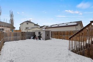 Photo 34: 19 Copperfield Terrace SE in Calgary: Copperfield Detached for sale : MLS®# A1062283