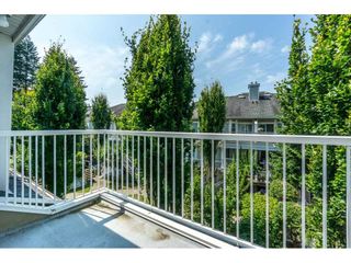 Photo 20: 28 9036 208 Street in Langley: Walnut Grove Townhouse for sale : MLS®# R2293277