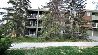 Photo 13: 201 1808 18 Street SW in Calgary: Bankview Apartment for sale : MLS®# A2052914
