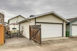 Photo 41: 151 Mt Apex Crescent SE in Calgary: McKenzie Lake Detached for sale : MLS®# A2092769
