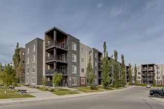 Main Photo: 319 195 Kincora Glen Road NW in Calgary: Kincora Apartment for sale : MLS®# A2082400