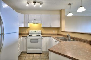 Photo 9: 1425 8810 Royal Birch Boulevard NW in Calgary: Royal Oak Apartment for sale : MLS®# A1209055