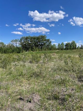 Photo 13: 3 Shannon Mews: Rural Foothills County Residential Land for sale : MLS®# A2053754