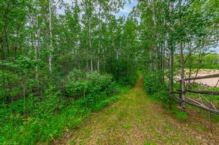 Photo 44: 28 Ravine View Big Gully Road in Rural Vermilion River, County of: Rural Vermilion River County Detached for sale : MLS®# A2096468