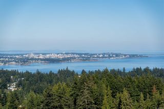 Photo 50: 3443 Karger Terr in Colwood: Co Triangle House for sale : MLS®# 910726