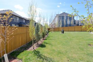 Photo 46: 130 Nolanshire Crescent NW in Calgary: Nolan Hill Detached for sale : MLS®# A1104088
