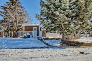 Photo 30: 827 Bay Road: Strathmore Detached for sale : MLS®# A2032037