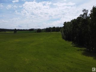 Photo 9: NW-31-47-1-5 TWP 480 RR 20: Rural Leduc County Rural Land/Vacant Lot for sale : MLS®# E4299612