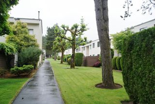 Photo 1: 127 14165 104TH Avenue in SURREY: Whalley Townhouse for sale in "HAWTHORNE PARK" (North Surrey)  : MLS®# F1215456