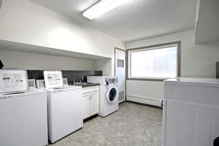 Photo 29: 104A 3747 42 Street NW in Calgary: Varsity Apartment for sale : MLS®# A1258443
