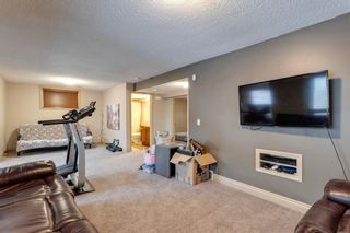 Photo 28: 512 Cresthaven Place SW in Calgary: Crestmont Detached for sale : MLS®# A2016115