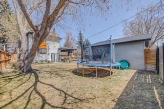 Photo 36: 6619 54 Avenue NW in Calgary: Silver Springs Detached for sale : MLS®# A2046209