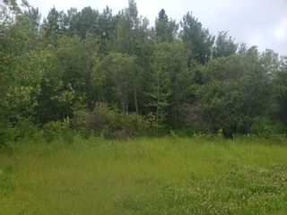 Photo 2: 831 Pelican Drive: Rural Opportunity M.D. Rural Land/Vacant Lot for sale : MLS®# E4270800