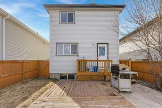Photo 24: 251 Copperfield Heights SE in Calgary: Copperfield Detached for sale : MLS®# A2123137