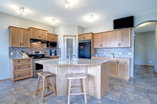 Photo 11: 112 WEST CREEK Meadow: Chestermere Detached for sale : MLS®# A1216075