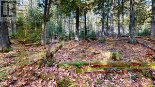 Photo 17: 5 Sandy Point in Manitowaning: Vacant Land for sale : MLS®# 2112426