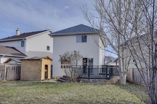 Photo 36: 117 Coral Springs Mews NE in Calgary: Coral Springs Detached for sale : MLS®# A2121614