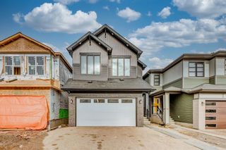Photo 1: 76 Homestead Close NE in Calgary: C-686 Detached for sale : MLS®# A2016274